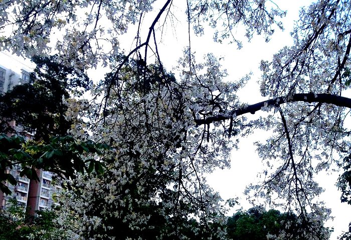 武漢鍛造廠技工學(xué)校(四七一)