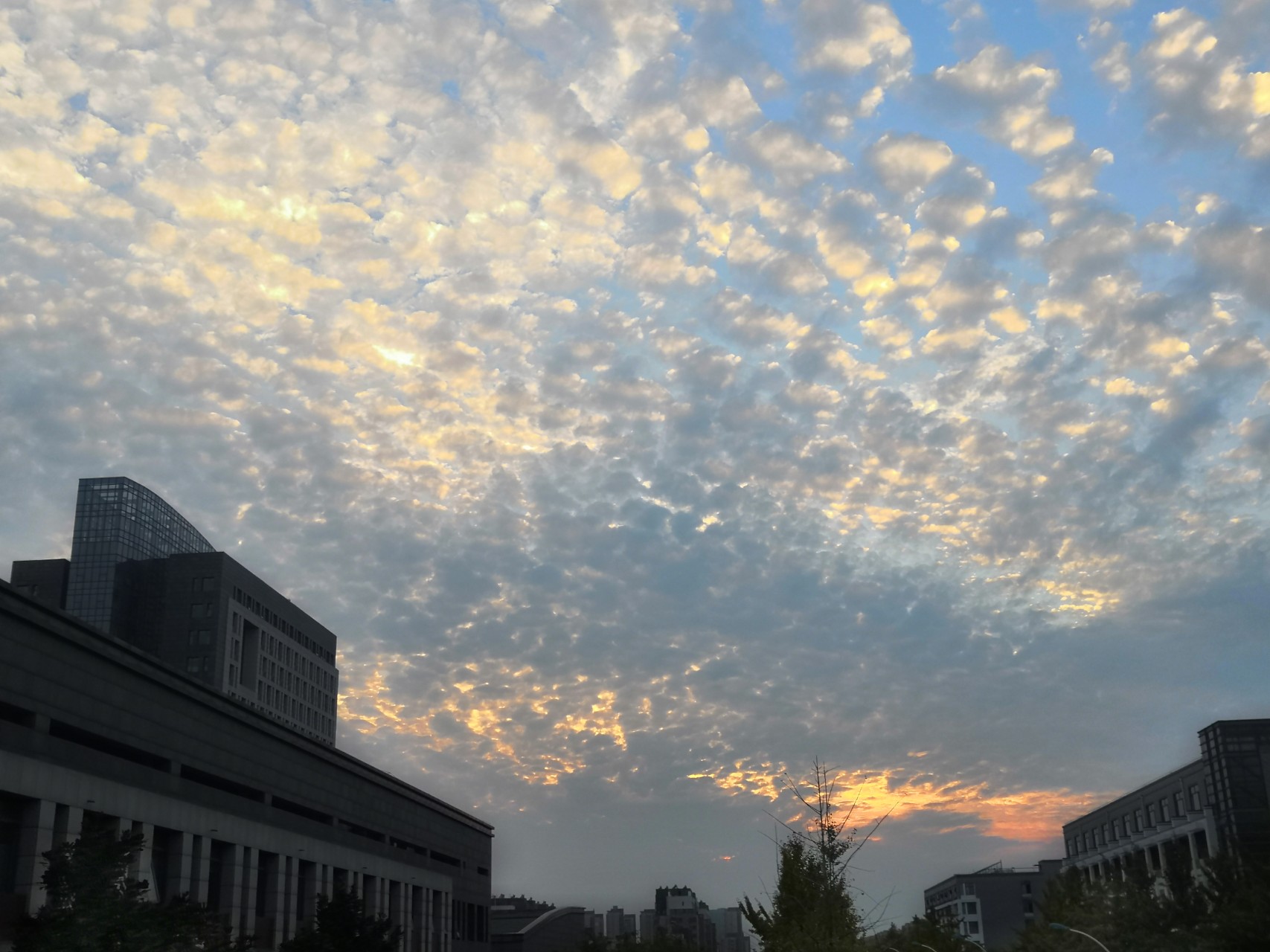 崇陽縣龍翔技工學校