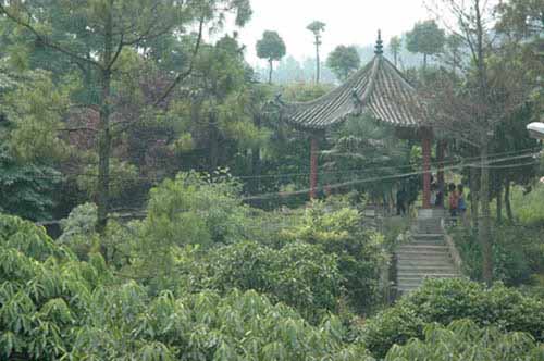 襄陽市護(hù)士學(xué)校
