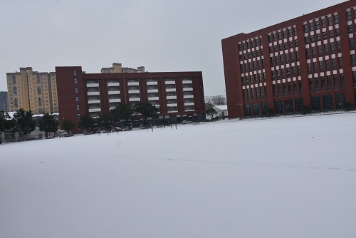 長江藝術工程職業學院2021年高職擴招專業