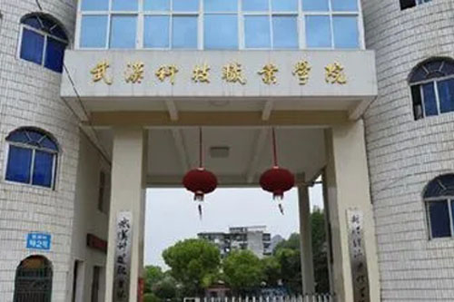 武漢科技職業學院