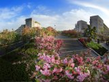 湖北工業職業技術學院山水校園