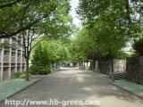 湖北生態工程職業技術學院學子路圖