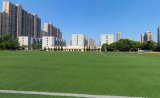 湖北水利水電職業技術學院田徑場圖