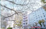 湖北藝術職業學院校園風景