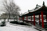 黃岡職業(yè)技術(shù)學(xué)院校園雪景圖
