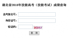 湖北省2018年技能高考（技能考試）成績查詢
