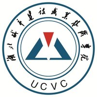 湖北城市建設.jpg