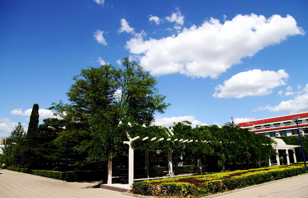 校園風(fēng)景 (3)_縮小大小.jpg