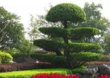 專升本園藝專業介紹