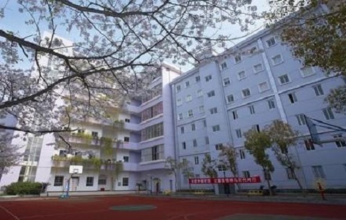 湖北藝術職業學院.jpg