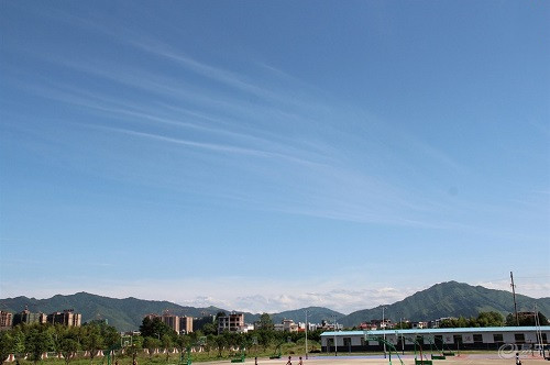 枝江市白洋鎮職業高中.jpg