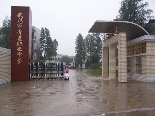 武漢市青菱職業中學.jpg