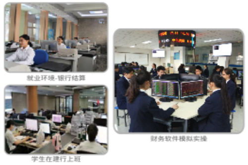 武漢應用科技學校金融事務專業.png