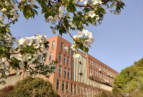 武漢科技大學城市學院.jpg