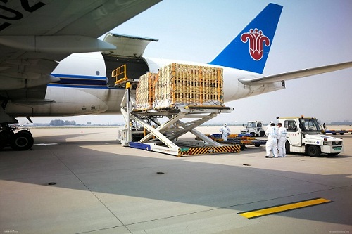 航空物流管理黃職技術學院.jpg