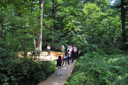森林生態旅游.jpg