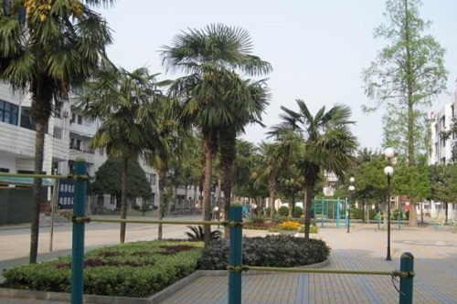 丹江口工業技工學校.jpg