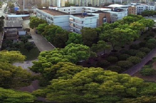 武漢市外貿學校.jpg