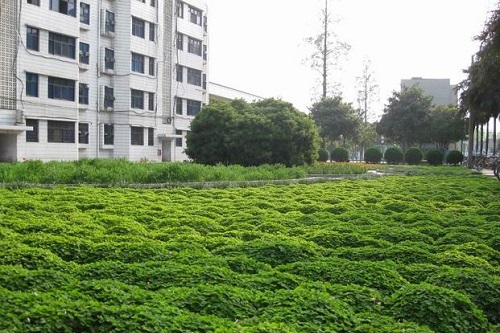 監利縣電子網絡工程學校.jpg