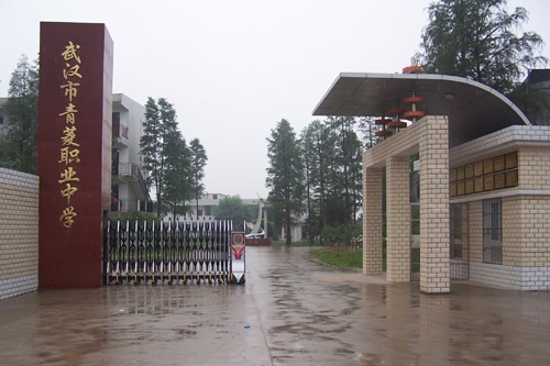 武漢市青菱職業中學.jpg