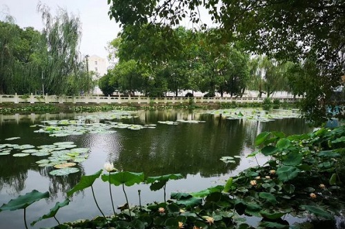 武漢市蔡甸區(qū)鐵鋪職業(yè)高級中學.jpg