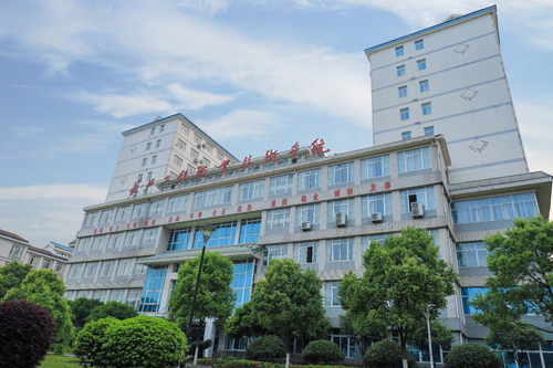 長江工程職業(yè)技術(shù)學院