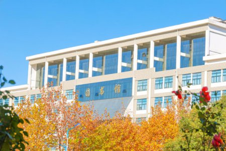 開封大學2025年高職單招招生專業、學費及報名指