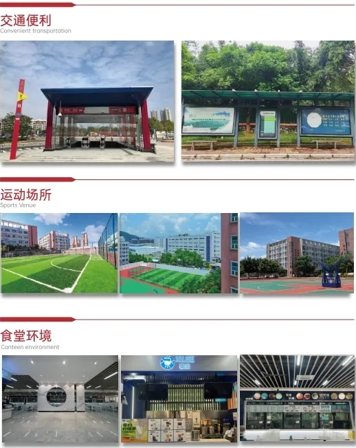 搜狗截圖20250526145651.jpg